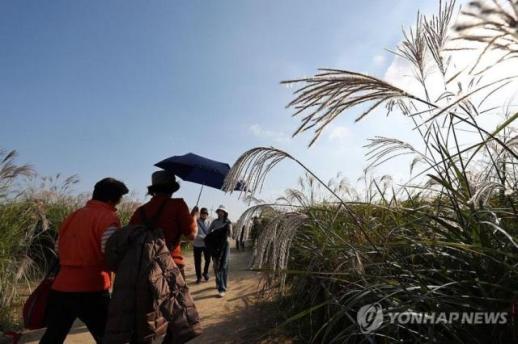 신안 해상서 267명 탄 여객선 좌초…목포로 승객 이송 중