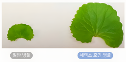 [NNA] 현대차 인도법인, 3분기 순이익 14% 증가