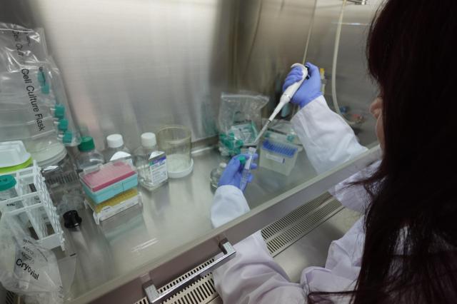 사진에이바이오머티리얼즈