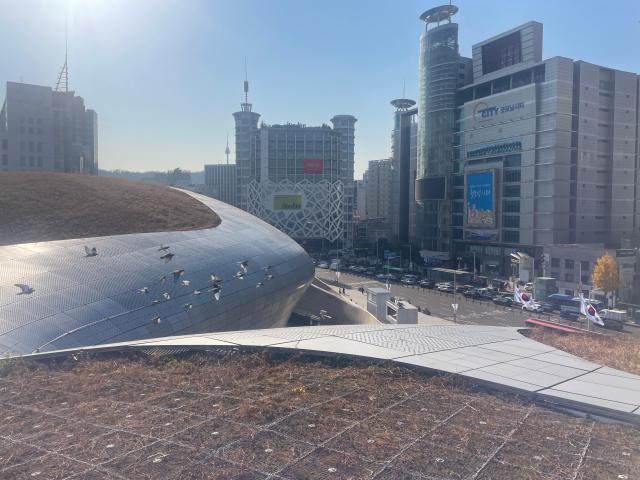 【摄影 记者 陈姗娜】