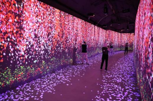 김해낙동강레일파크, 겨울 관광 1순위로 부상 外