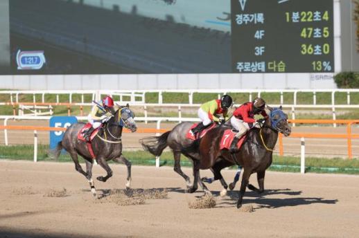 브리더스컵 루키·퀸, 23일 부산서 시즌 최종 승부