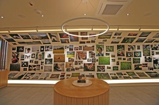 에코맘의 산골이유식, 청정 유기농 농산물로 맘심 공략