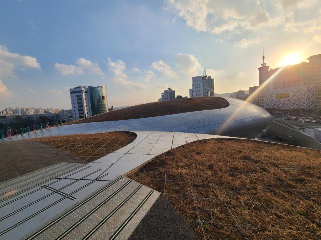 DDP 루프탑 투어 사진윤주혜 기자