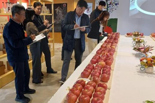 양구사과, 대한민국 대표 과일 선발대회서 우수성 입증