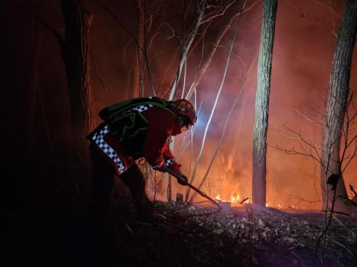 감초 연기 원로배우 남포동 별세…향년 81세
