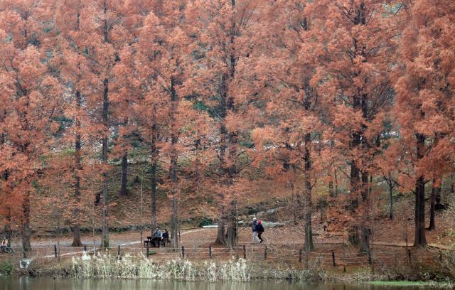 首尔大公园秋景如画
