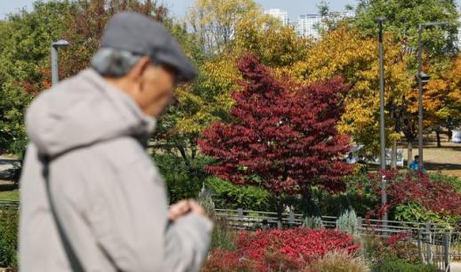 [내일 날씨] 낮 최고 20도, 포근하고 건조…산불 비상