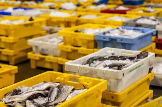 [NNA] 베트남 1~10월 수산물 수출, 95억 달러 돌파