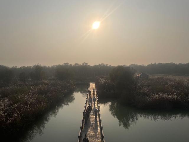 【摄影 记者 陈姗娜】