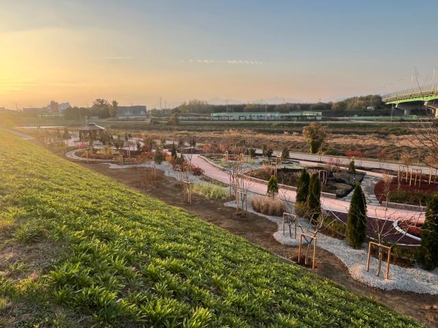 대구 동구청은 불로천 둔치에 생활밀착형 숲 조성 사업을 완료했다 사진대구동구