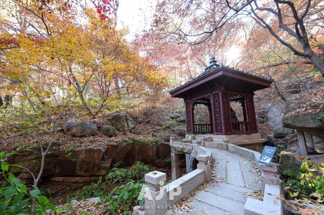 14일 서울특별시 종로구 부암동 석파정에서 시민들이 휴식을 취하고 있다 AJP Yoo Na-hyun