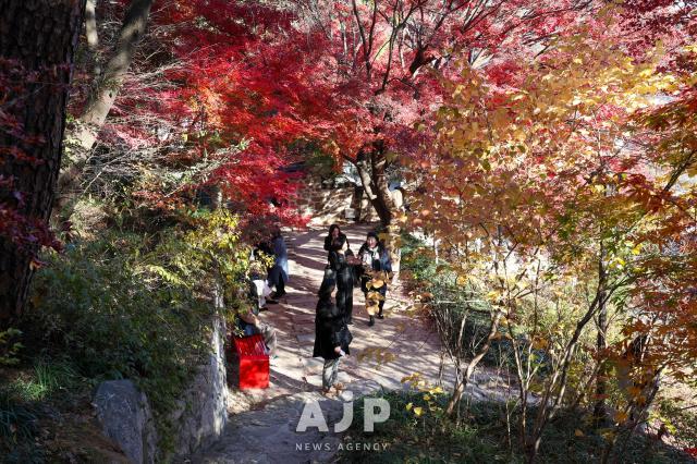 14일 서울특별시 종로구 부암동 석파정에서 시민들이 걷고 있다 AJP Yoo Na-hyun