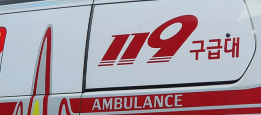 [종합] 20대 女, 출근길 신호위반 차량에 치여 숨져