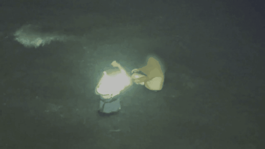 해경 순직 사고 갯벌 출입통제 추진에... 반대민원 100건, 왜?