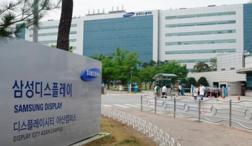 삼성디스플레이, 부사장 8명 등 23명 승진···차별화된 기술 인재 발탁