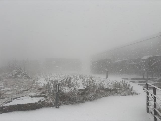 [포토] 함박눈으로 뒤덮인 소백산