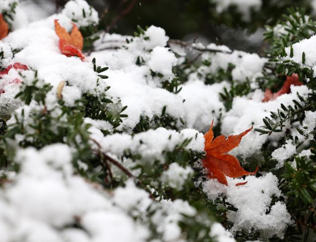秋天再见！江原道山顶被白雪覆盖