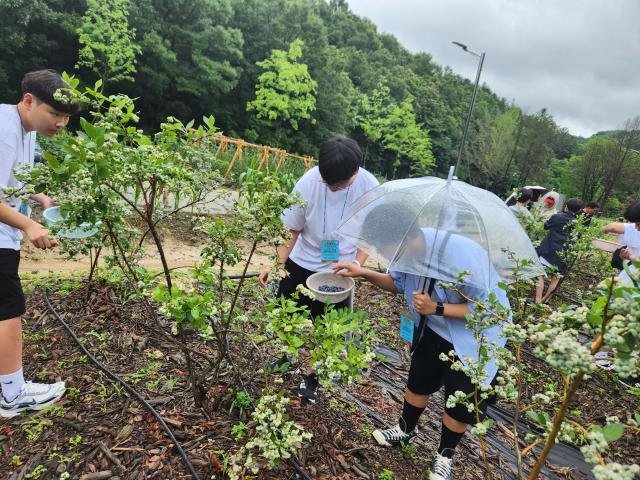 충주 유기농체험센터 사진충북과학기술혁신원