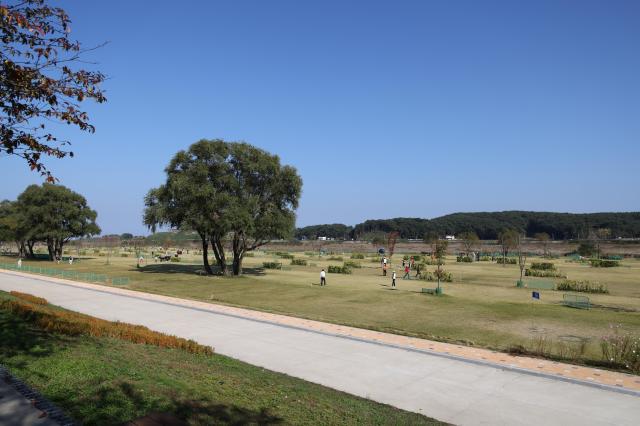 양양 남대천 파크골프장 사진양양군