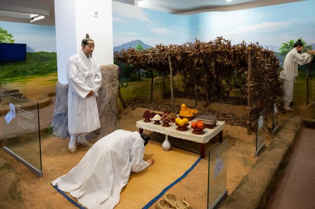 금산인삼관 사진충남문화관광재단