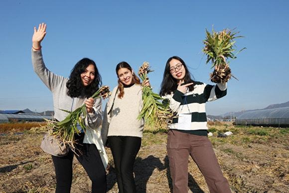 완주군은 최근 외국인 관광객들을 대상으로도 '완주 미식 관광 투어'를 진행했다. 말레이시아, 파키스탄, 칠레, 이탈리아, 태국, 프랑스, 미국 등 다양한 국적의 외국인 관광객 30명이 함께했다. [사진=완주군]