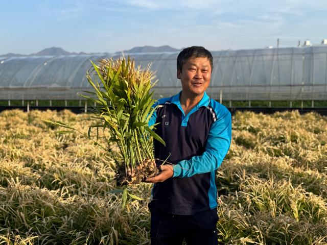 이민철 완주 생강 전통농업시스템 보존위원회 위원장이 봉동 생강에 대해서 설명하고 있다 사진강상헌 기자
