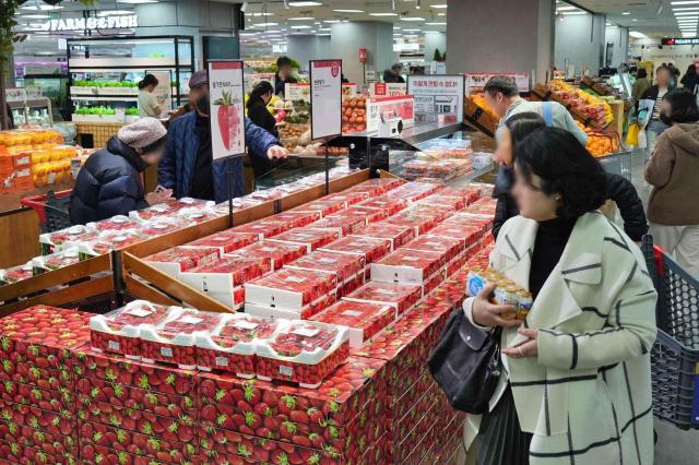 롯데마트 제타플렉스 잠실점 딸기 매대 전경 사진롯데마트