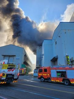 박성재, 김건희 김안방이라 저장…특검 정치적 운명 공동체