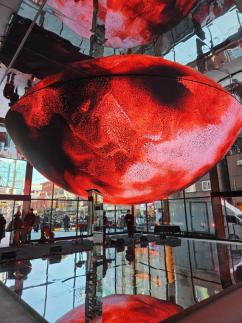 [포토] 블루엘리펀트, 성수동 메가 스토어 스페이스 성수 조성