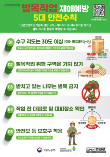벌목현장 불시 점검한 류현철 산안본부장 대비하면 예방할 수 있어