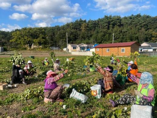 부안군, 내년 노인일자리 대폭 확대