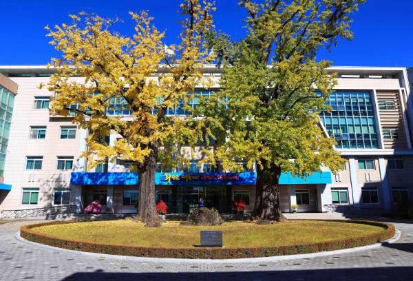 화순군 내년 3월까지 넉 달 동안 배출가스 5등급 차량 단속