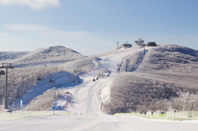 하이원 리조트 스키장 전경 사진하이원 리조트