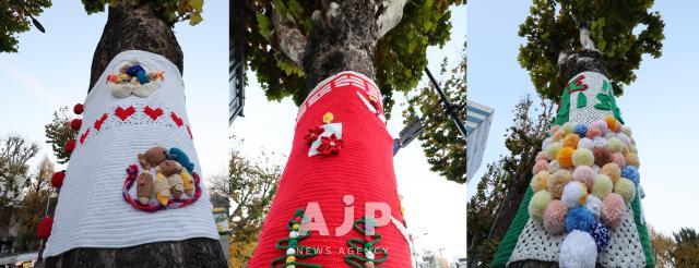 Trees are wrapped with protective winter coverings in Seoul’s Dongdaemun District on Dec 1