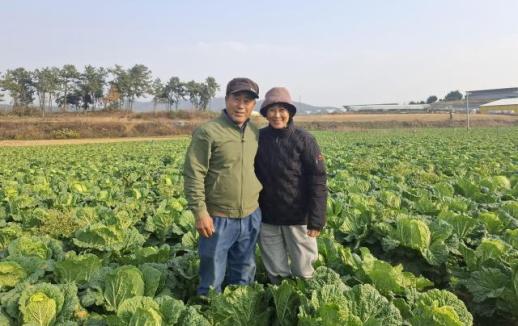 전남도, 12월 친환경농산물에 무안 배추