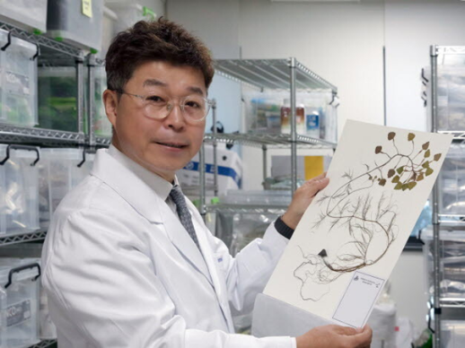 파주 육군 훈련장서 30㎜ 대공포탄 폭발…4명 부상