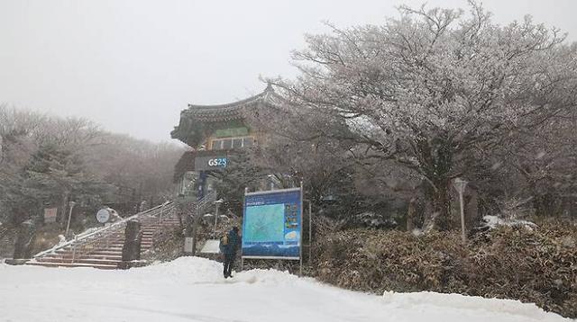 눈이 내린 제주도 모습 사진인터넷