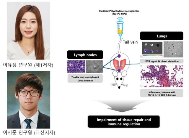 K-MEDI hub 전임상센터 연구원의 논문이 국제학술지 유해물질저널 게재와 ‘한빛사’에 선정됐다 사진케이메디허브