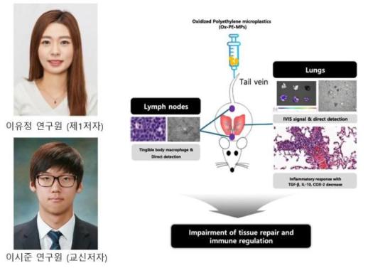 케이메디허브, 이시준·이유정 연구원 유해물질저널 게재·한빛사 선정