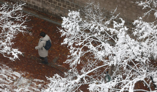 특검, 김건희 징역 15년·벌금 20억원 구형