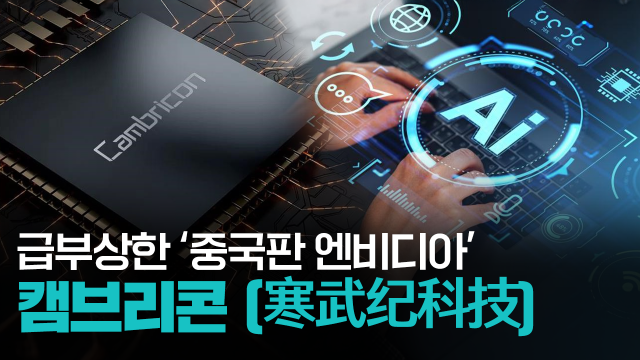 【파고파자 중국경제】崛起的"中国版英伟达"—— 寒武纪科技