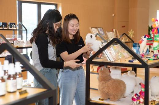 浦东引领区建设五周年:以链路之通促双向奔赴