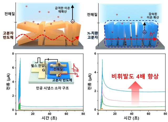 사진서울과기대