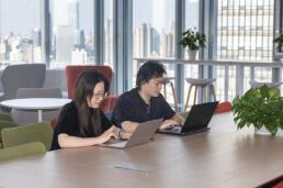 浦东引领区建设五周年：以开放之姿筑先锋之路