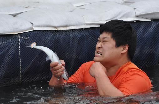 화천산천어축제장에서 맨손잡기 체험을  하는 관광객 모습[사진=박종석 기자]