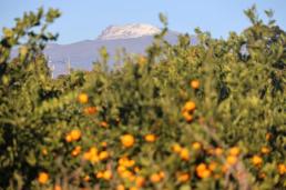 경찰, 장경태 성추행 의혹 고소인 조사…신변보호 조치