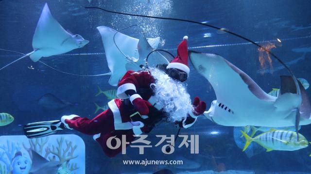 사진씨라이프 코엑스 아쿠아리움