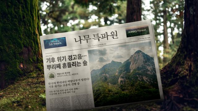 현대차 나무특파원 이미지사진현대차