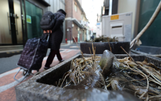 Số hộ gia đình độc thân ở Hàn Quốc lần đầu tiên vượt mốc 8 triệu